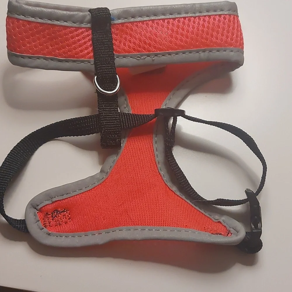 Cat harness and leash